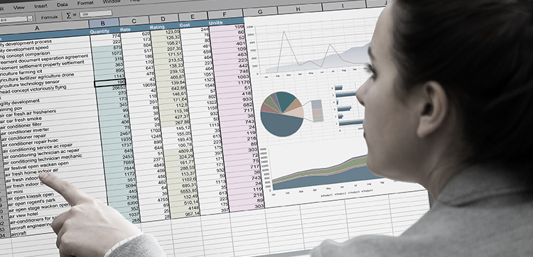 Woman analyzing a spreadsheet
